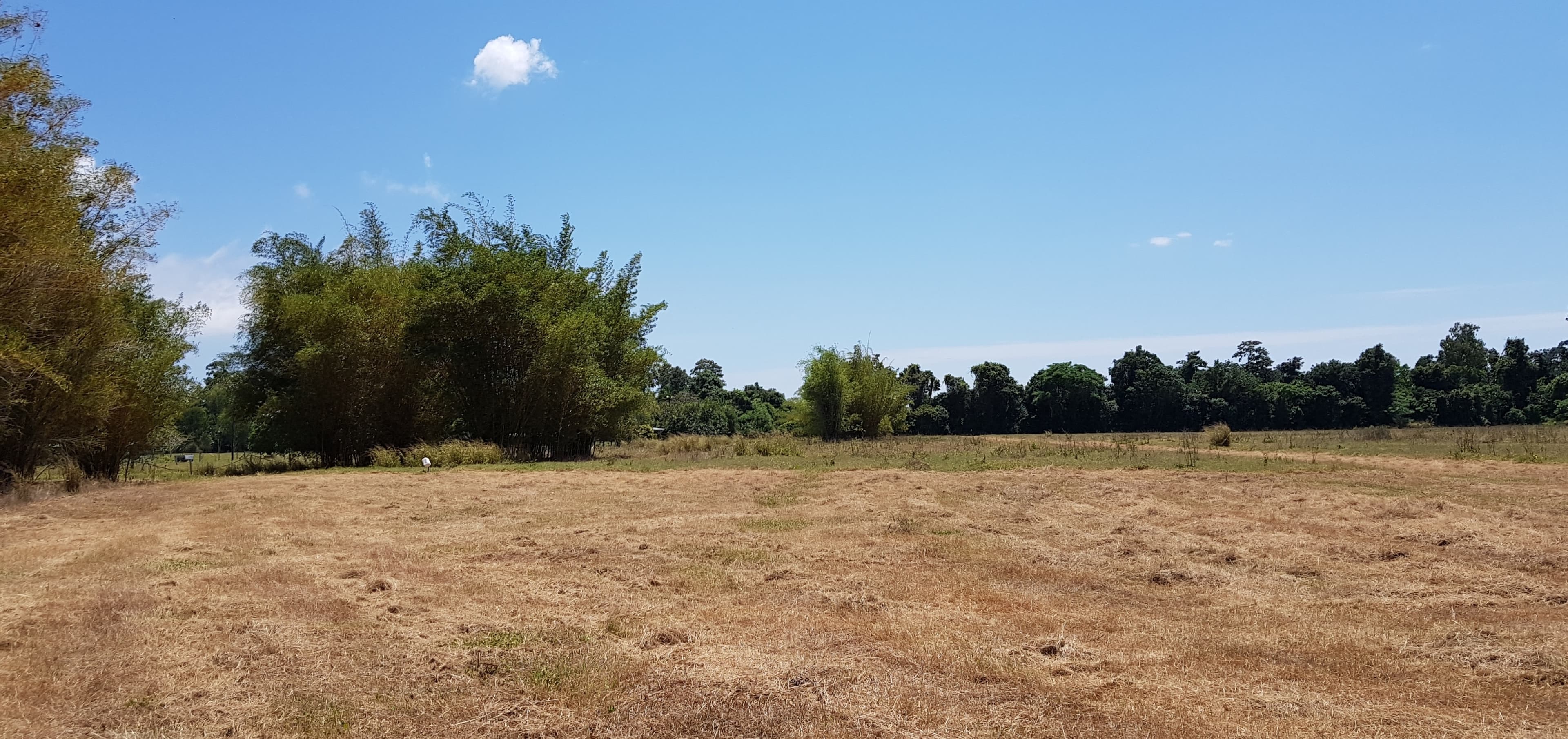 Lot 1 Ellerbeck Road, Carruchan QLD 4816, Carruchan - Thumbnail 2