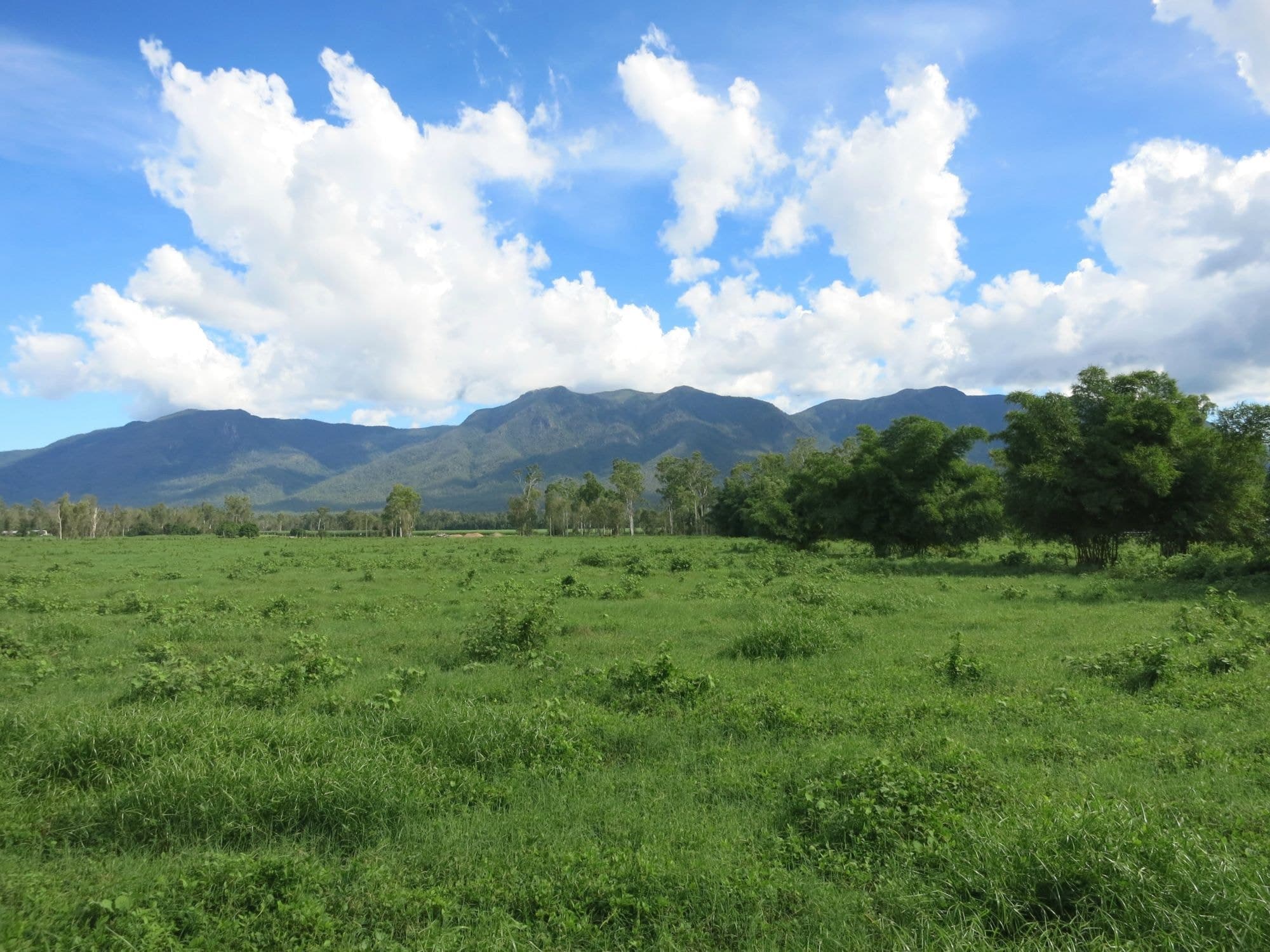 Lot 1 Ellerbeck Road, Carruchan QLD 4816, Carruchan - Thumbnail 3