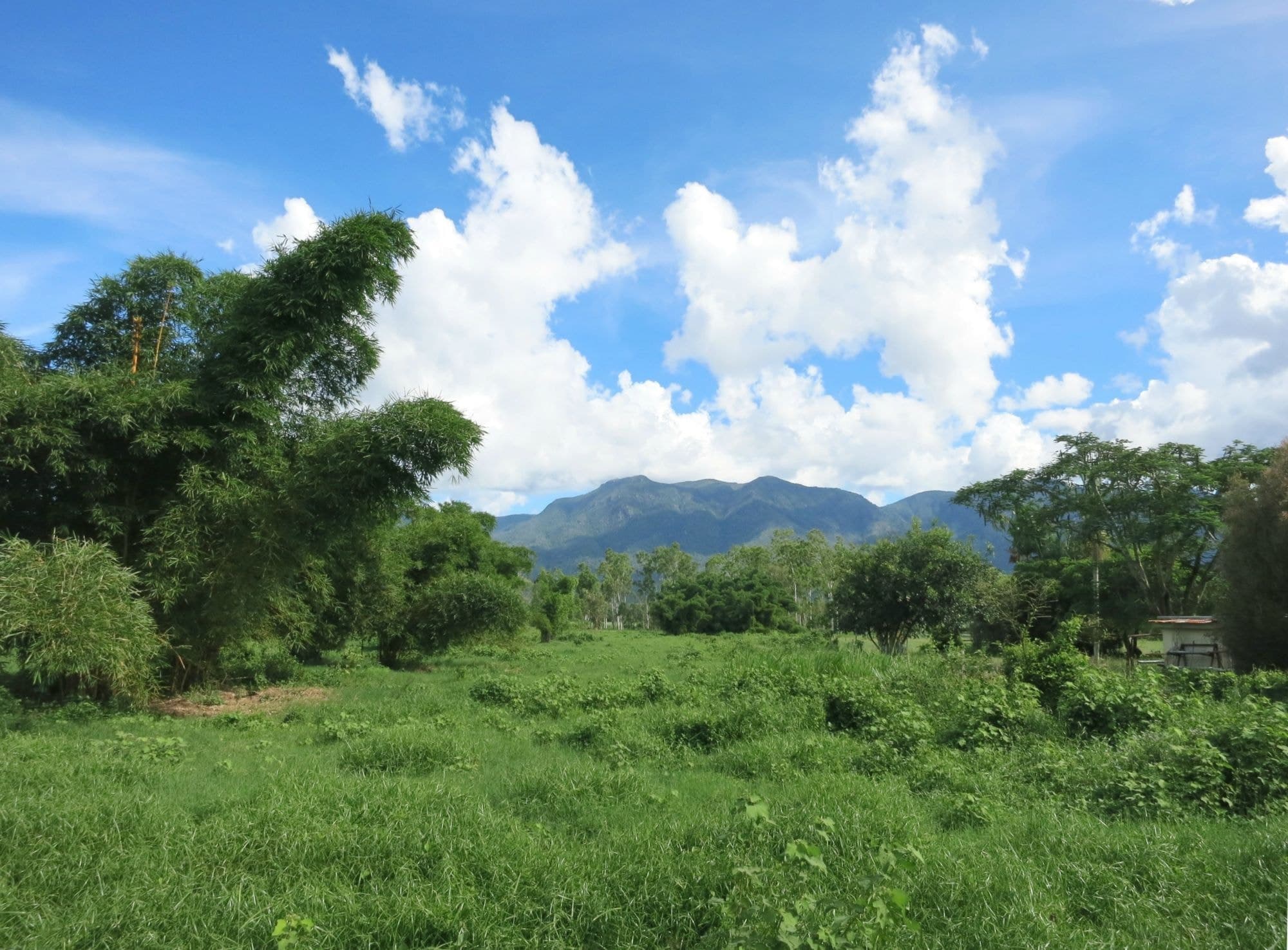 Lot 1 Ellerbeck Road, Carruchan QLD 4816, Carruchan - Thumbnail 4