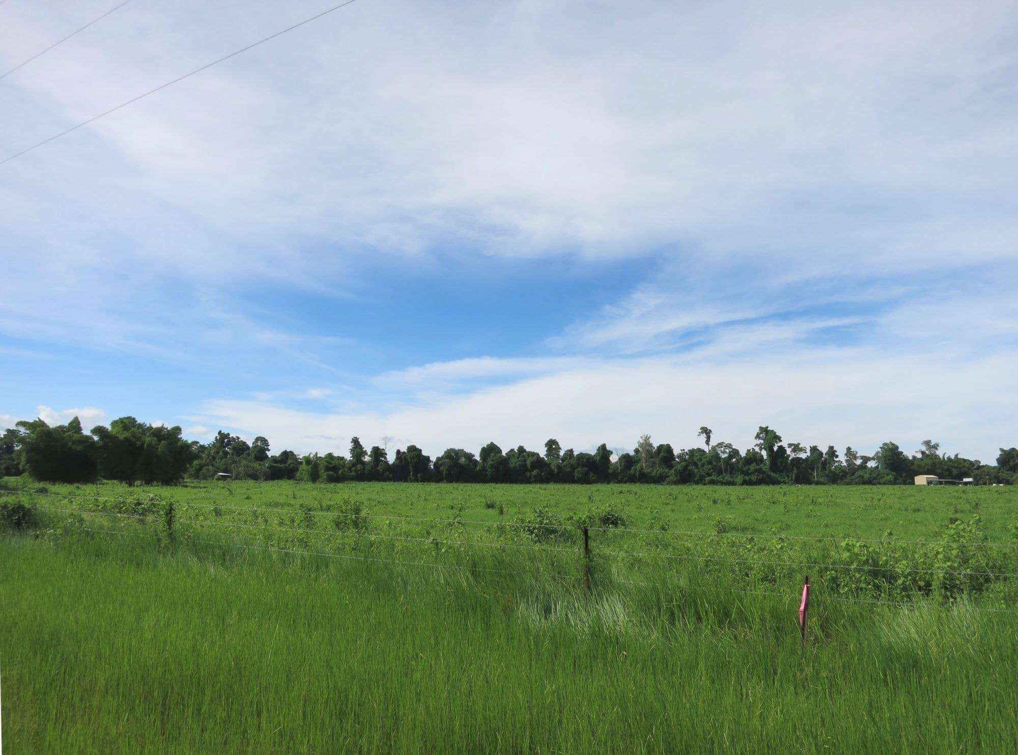 Lot 1 Ellerbeck Road, Carruchan QLD 4816, Carruchan - Thumbnail 5