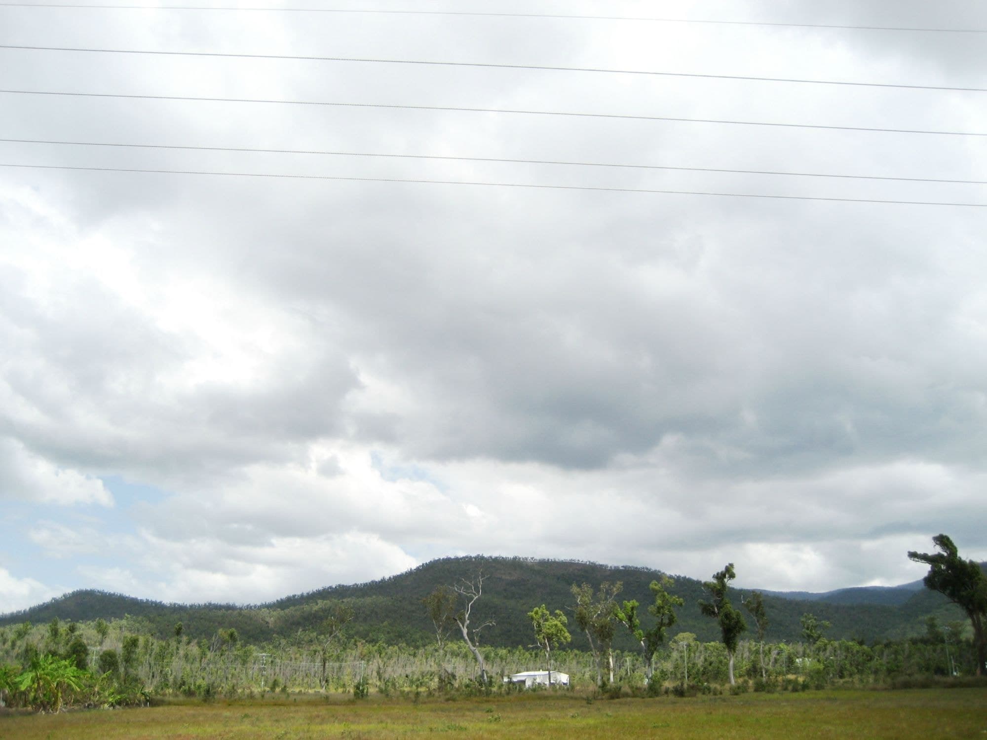 Lot 3 Williams Avenue, Cardwell QLD 4849, Cardwell - Thumbnail 6