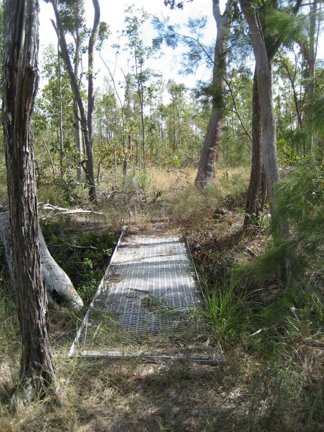 Lot 3 Attie Creek Road, Ellerbeck QLD 4816, Ellerbeck - Thumbnail 5