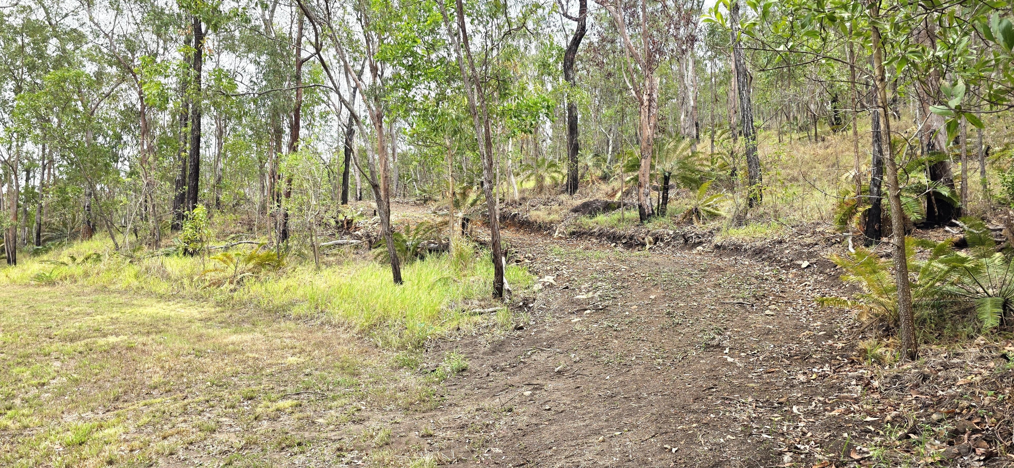 13 Mahogany Road, Ellerbeck QLD 4816, Ellerbeck - Thumbnail 2