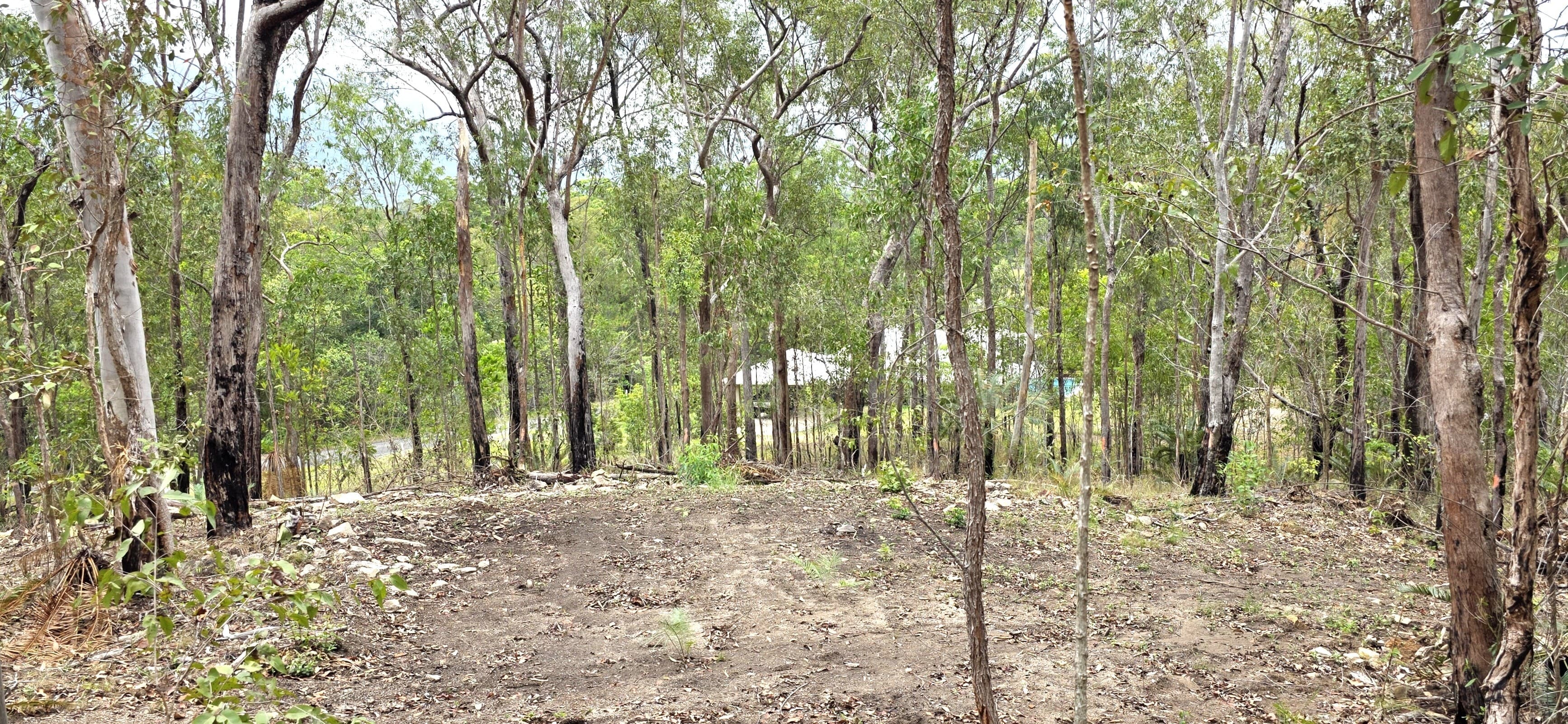 13 Mahogany Road, Ellerbeck QLD 4816, Ellerbeck - Thumbnail 3