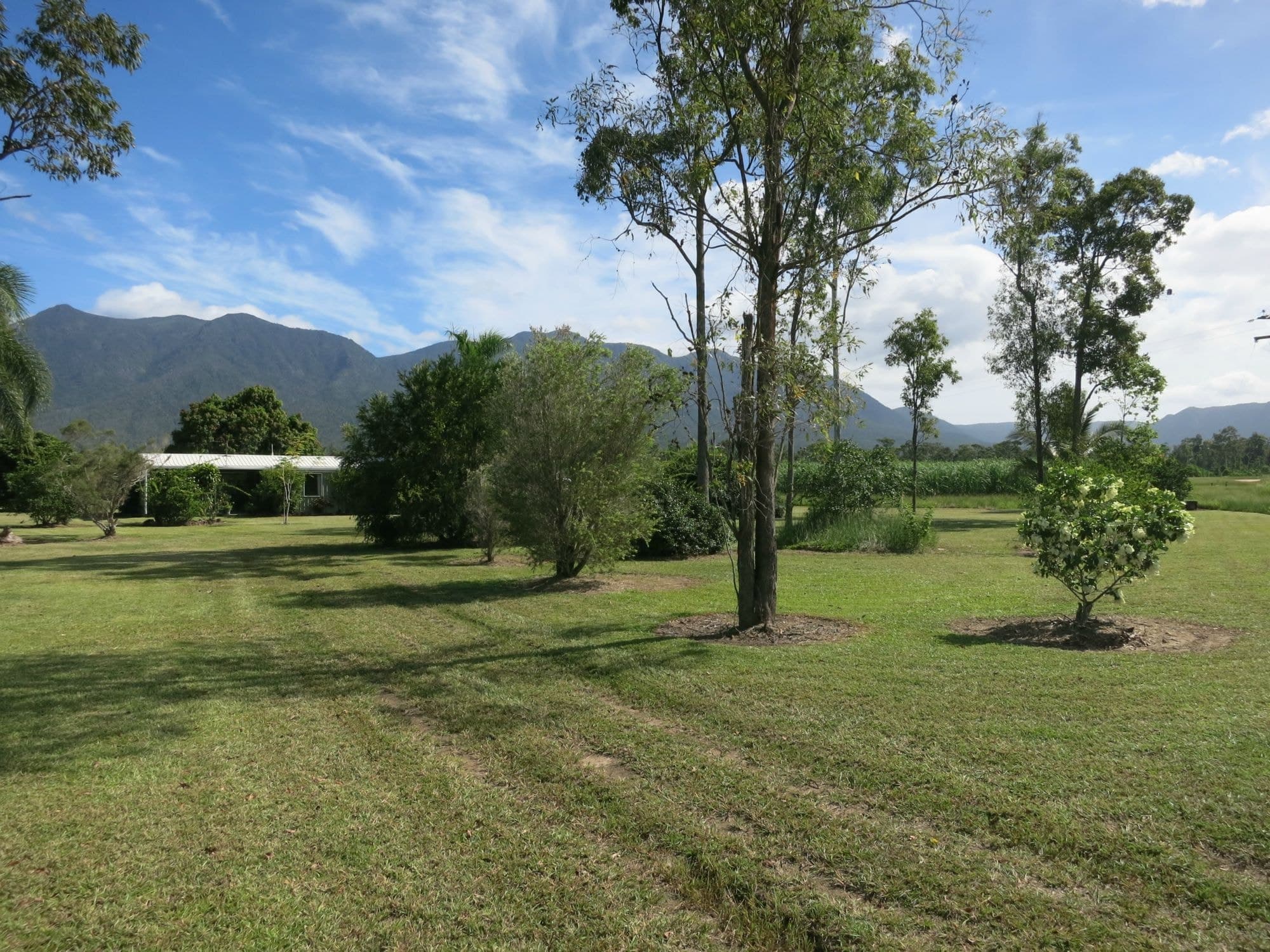 103 Sullivan Road, Carruchan QLD 4816, Carruchan - Image 1