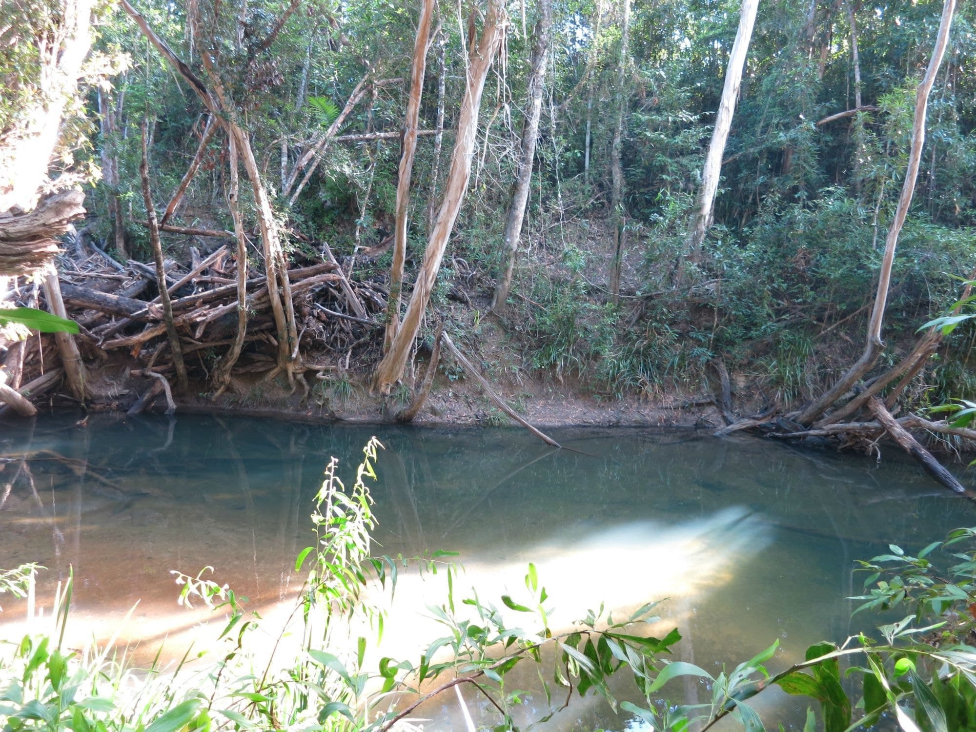 Lot 4 Sullivan Road, Carruchan QLD 4816, Carruchan - Thumbnail 2