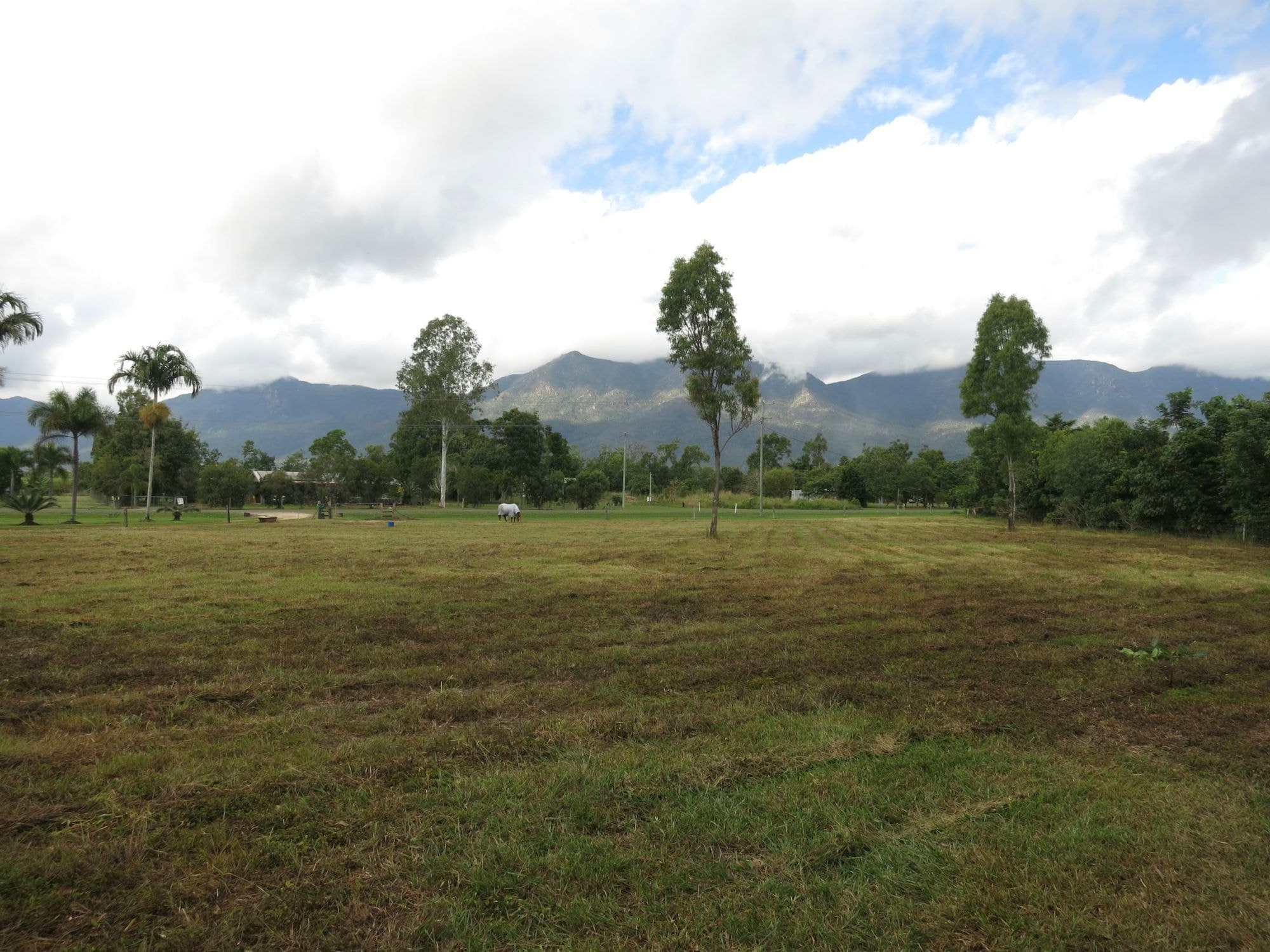 Lot 4 Sullivan Road, Carruchan QLD 4816, Carruchan - Thumbnail 3