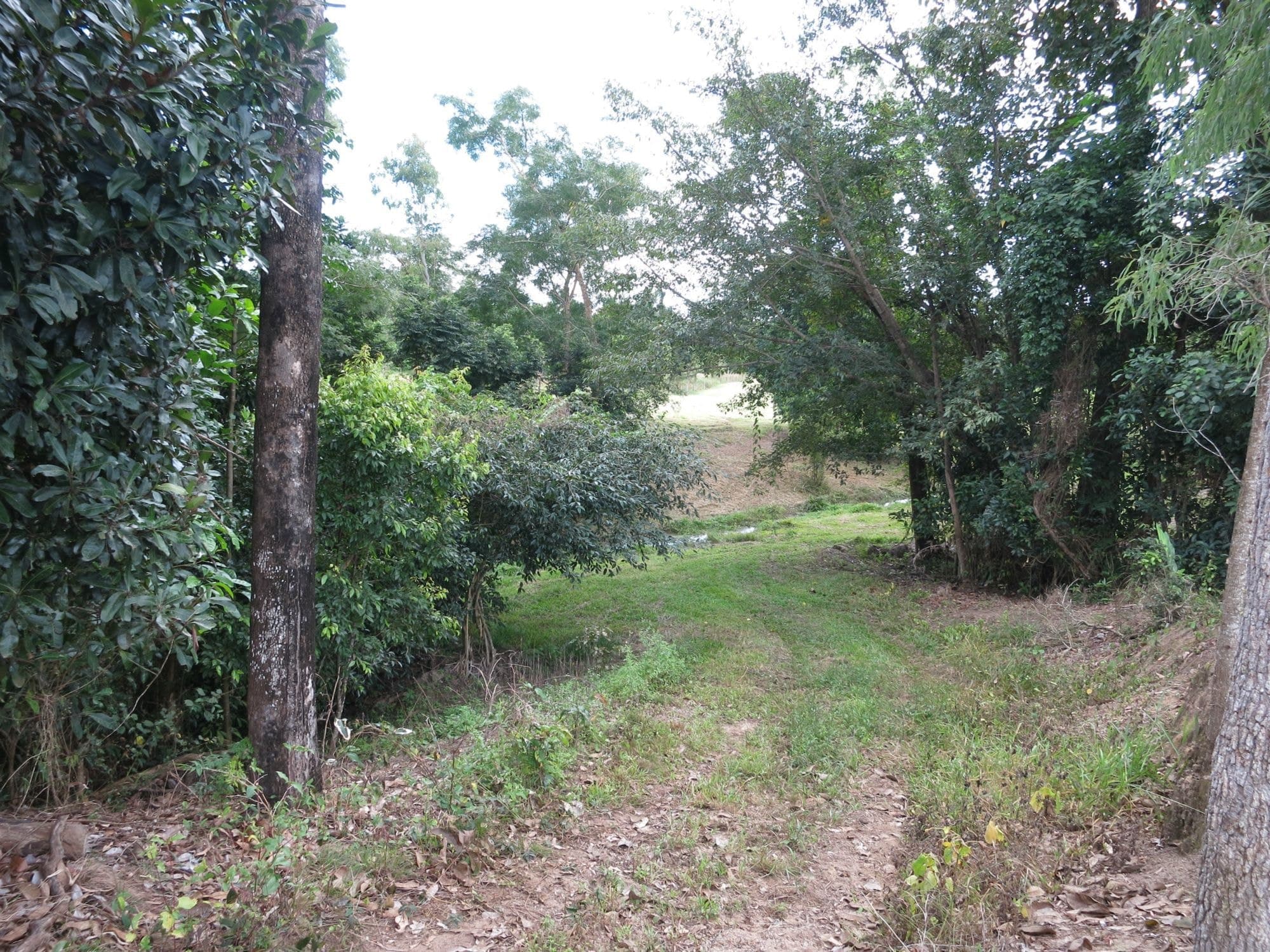 Lot 4 Sullivan Road, Carruchan QLD 4816, Carruchan - Thumbnail 4