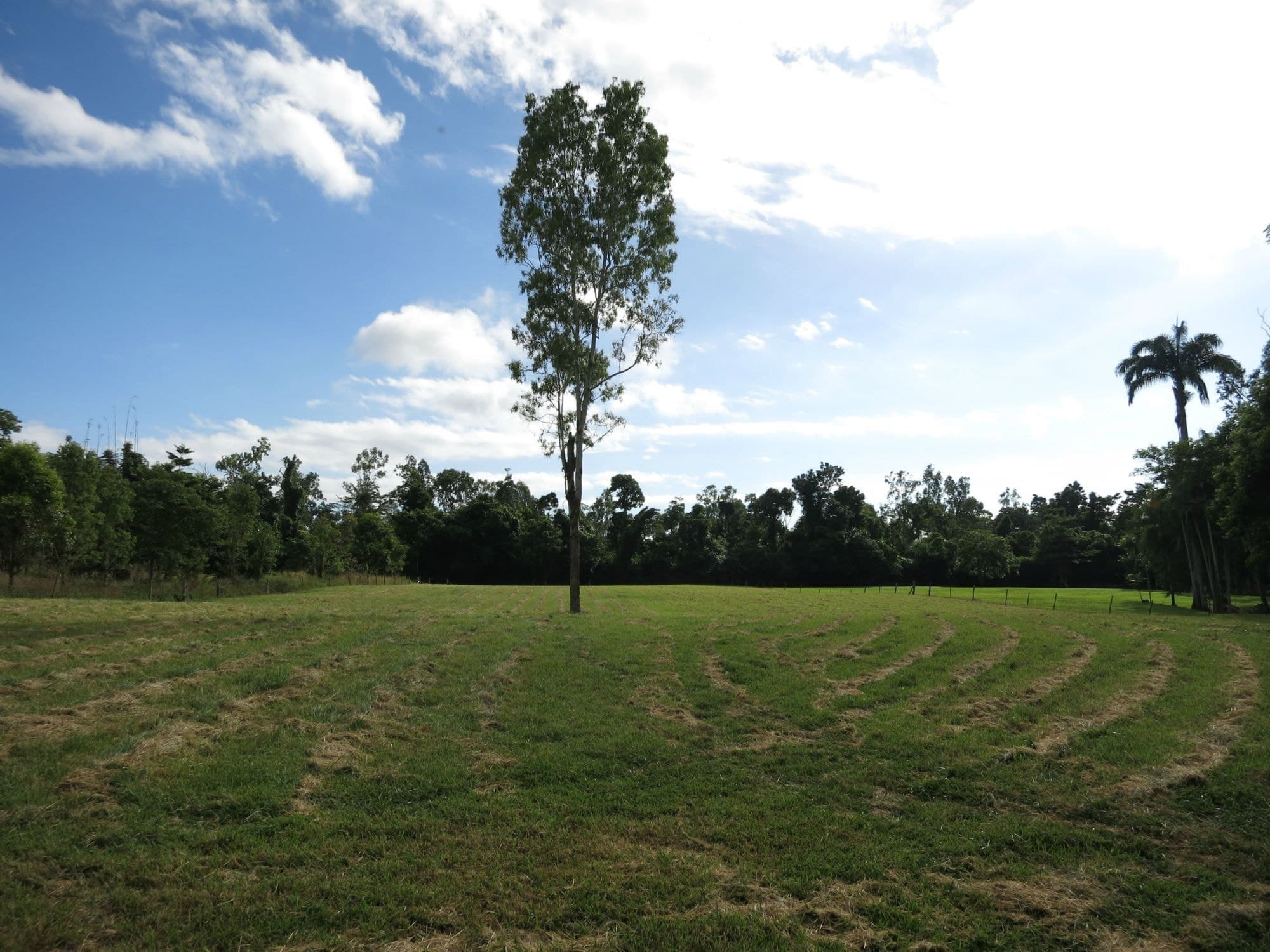 Lot 4 Sullivan Road, Carruchan QLD 4816, Carruchan - Thumbnail 5