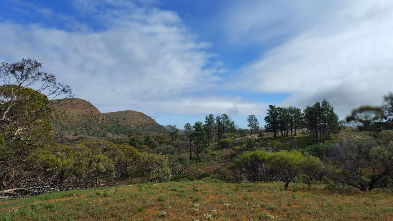 Lot 1 Parachilna Gorge Road, BLINMAN, SA, 5730, Blinman - Image 1