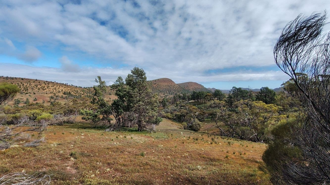 Lot 1 Parachilna Gorge Road, BLINMAN, SA 5730, Blinman - Thumbnail 3