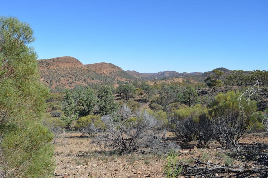Lot 1 Parachilna Gorge Road, BLINMAN, SA 5730, Blinman - Thumbnail 4