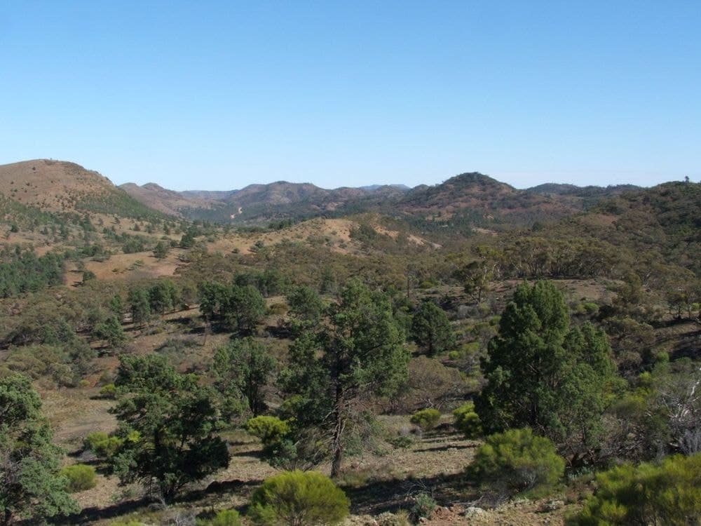 Lot 1 Parachilna Gorge Road, BLINMAN, SA 5730, Blinman - Thumbnail 5