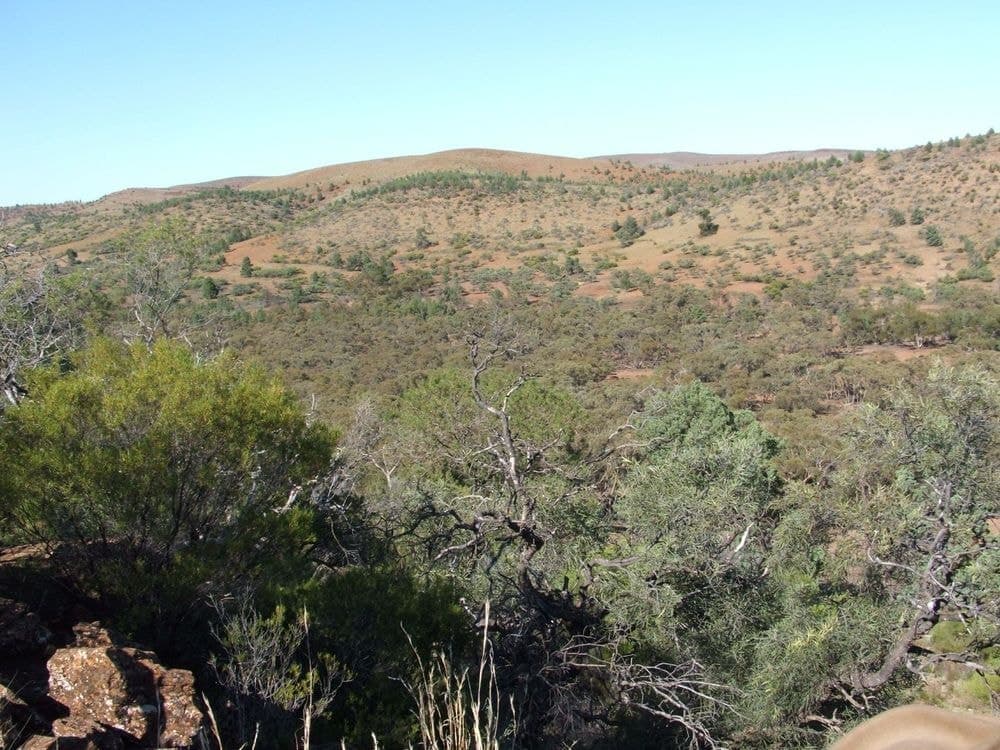 Lot 1 Parachilna Gorge Road, BLINMAN, SA 5730, Blinman - Thumbnail 6