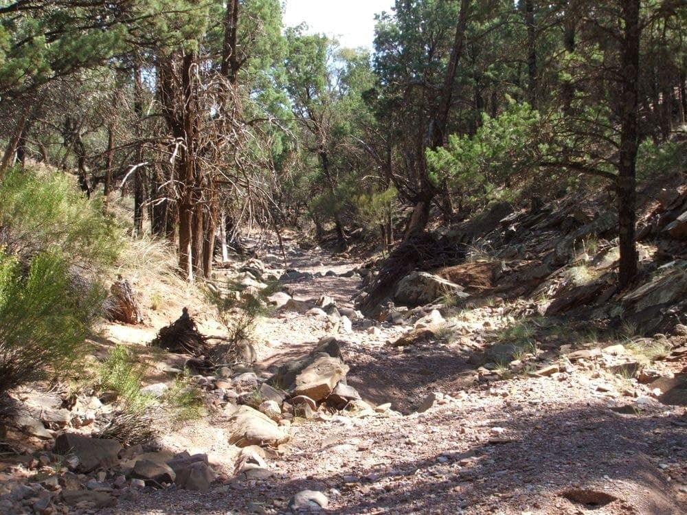 Lot 1 Parachilna Gorge Road, BLINMAN, SA 5730, Blinman - Thumbnail 7