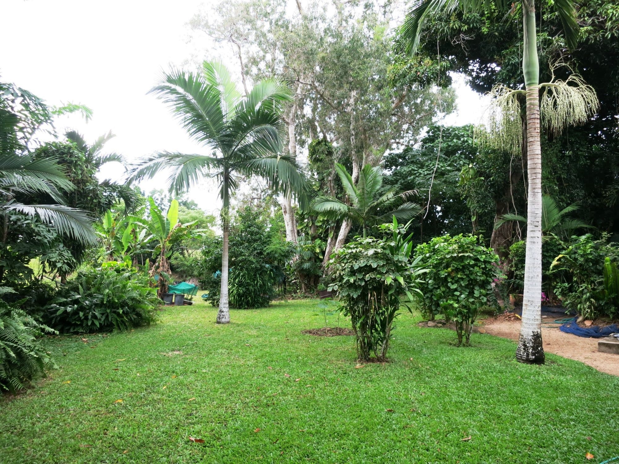 52 Roma Street, Cardwell QLD 4849, Cardwell - Thumbnail 2