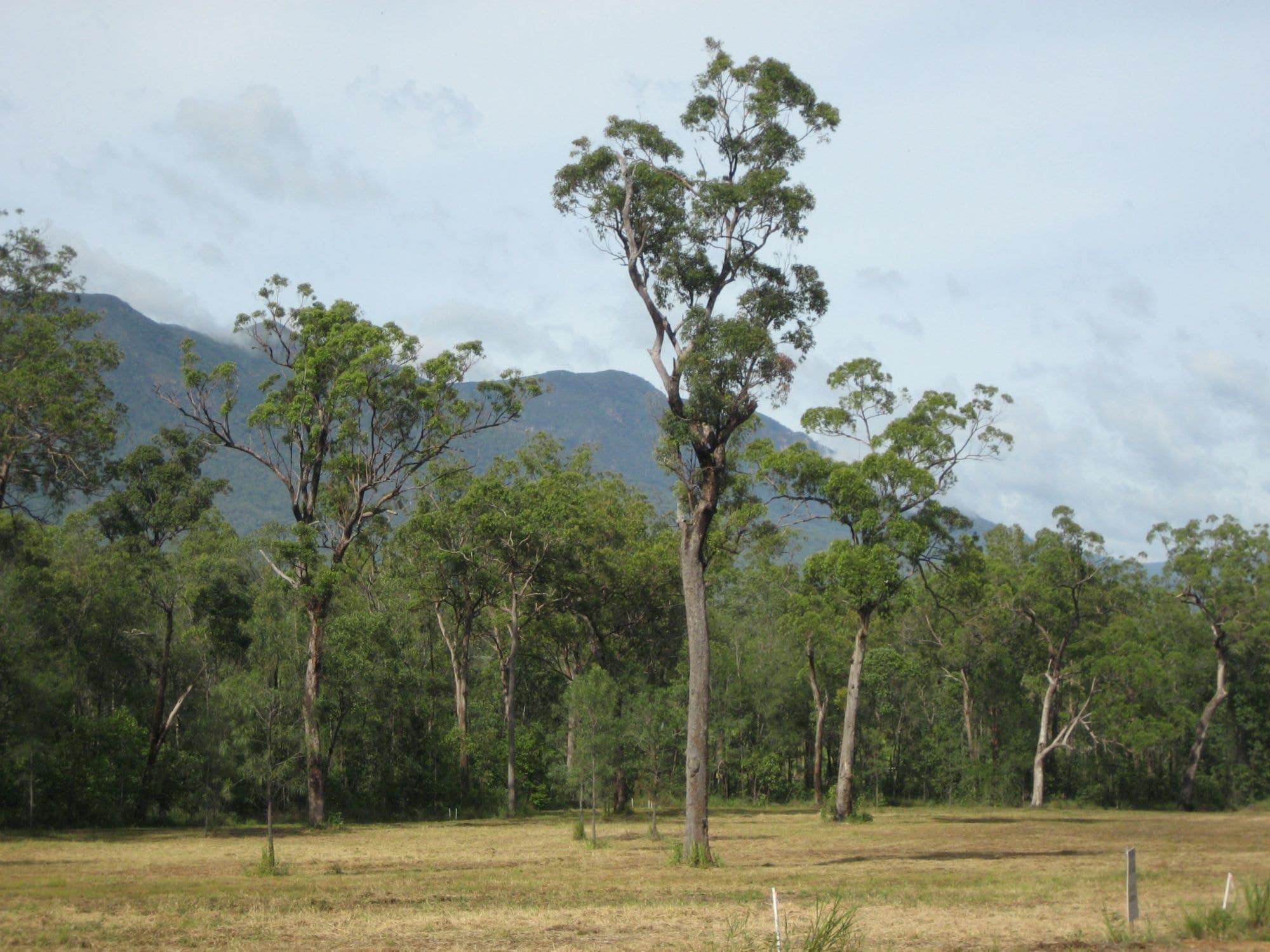 Lot 43 Attie Creek Road, Ellerbeck QLD 4816, Ellerbeck - Thumbnail 6