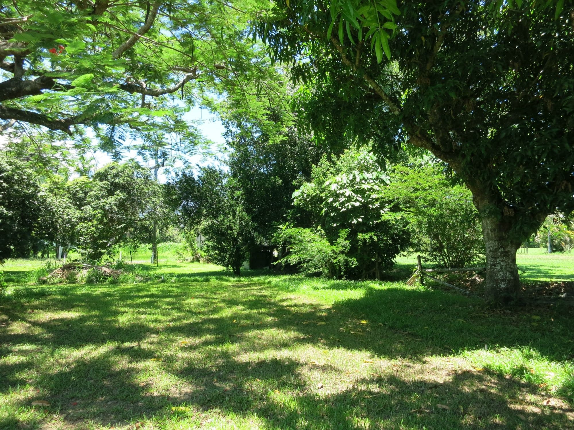 725 Ellerbeck Road, Carruchan QLD 4816, Carruchan - Thumbnail 4