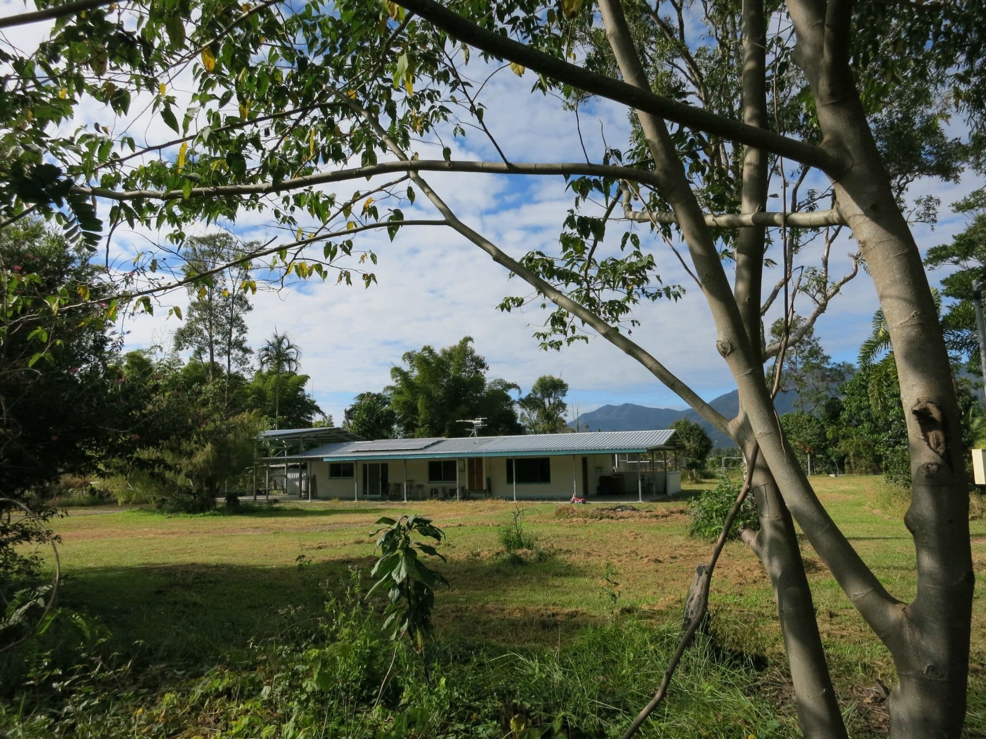 29 Sullivan Road, Carruchan QLD 4816, Carruchan - Image 1