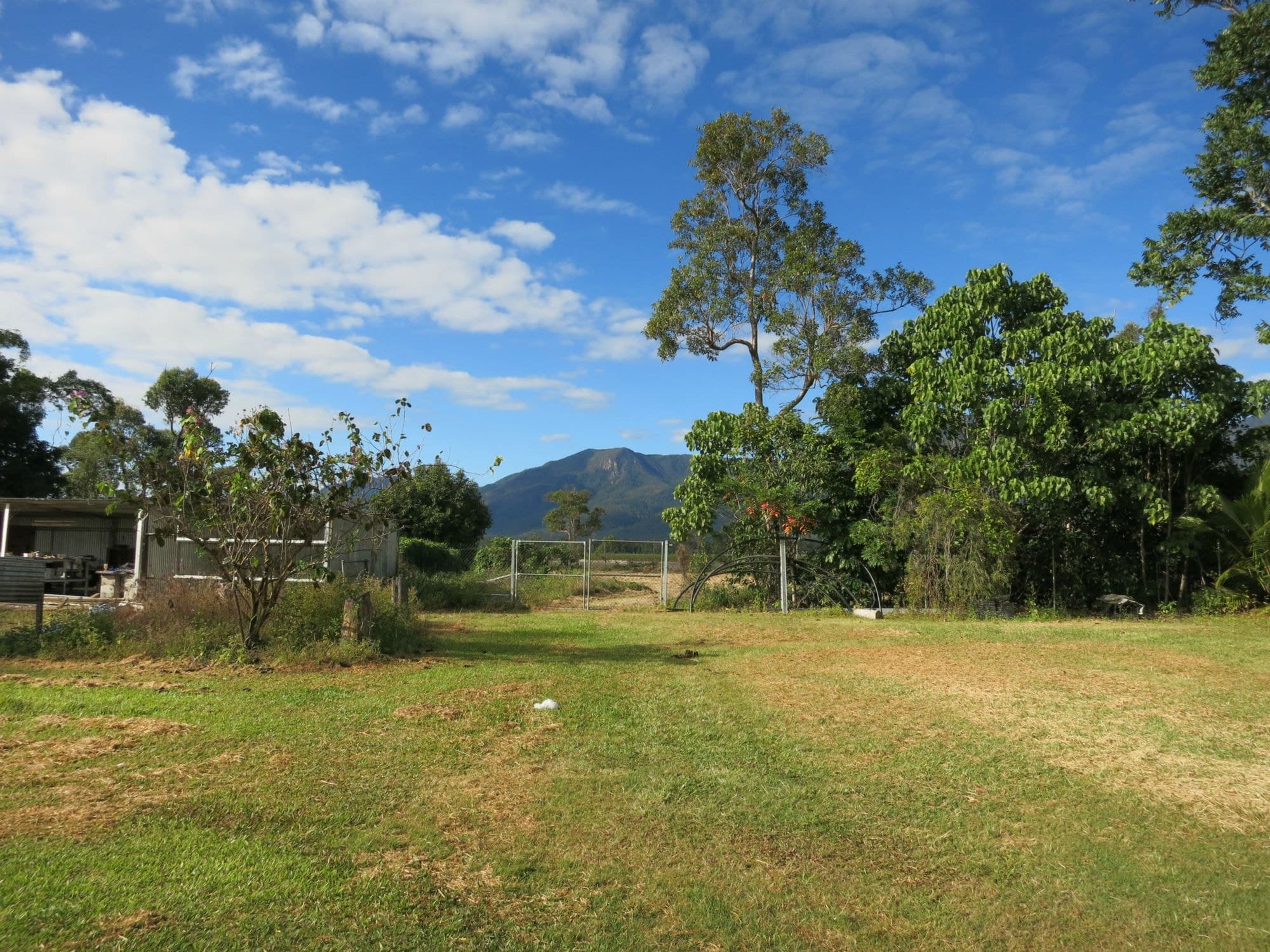 29 Sullivan Road, Carruchan QLD 4816, Carruchan - Thumbnail 7