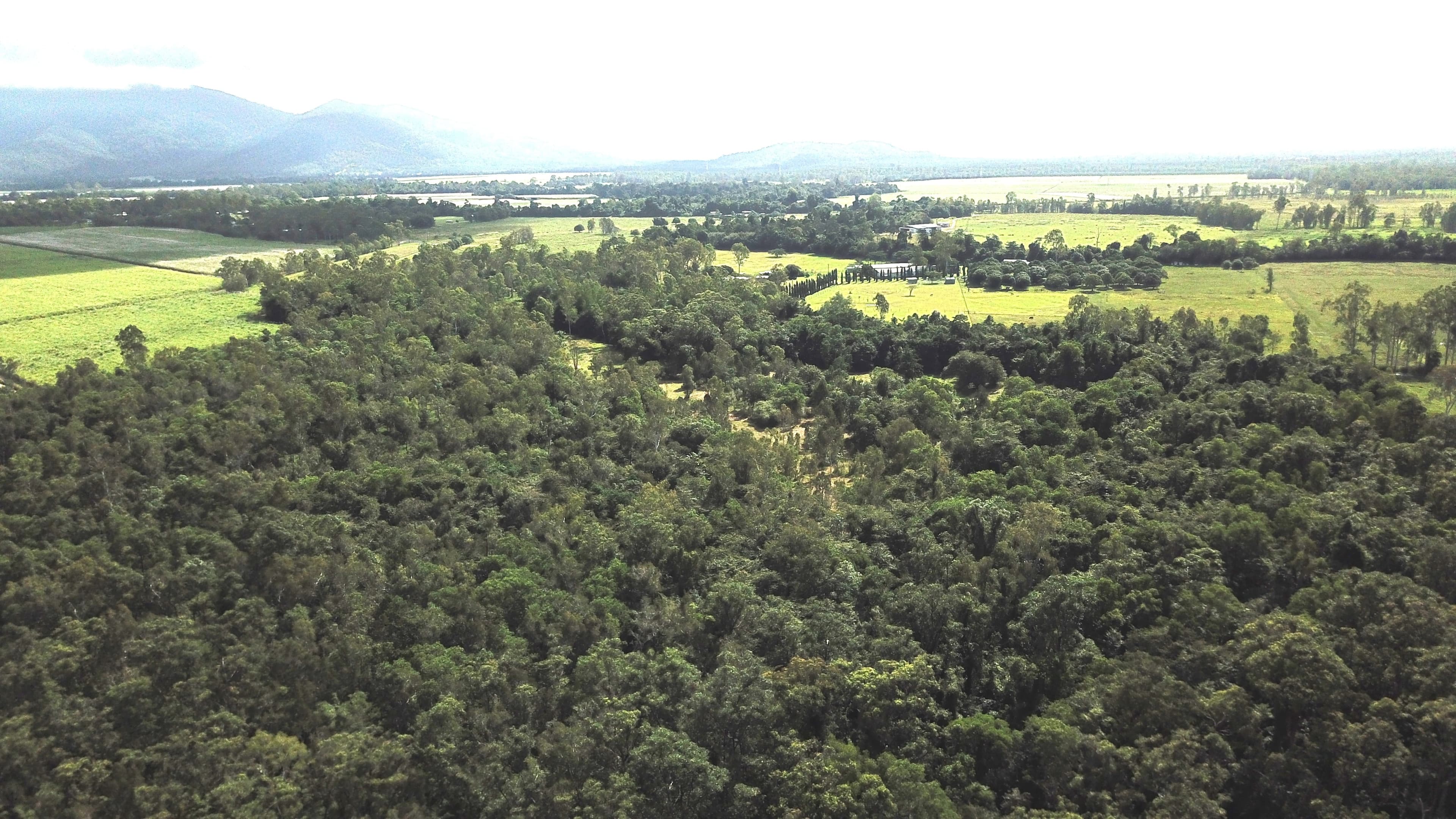 LOT 4 Ellerbeck Rd, Carruchan QLD 4816, Carruchan - Image 1
