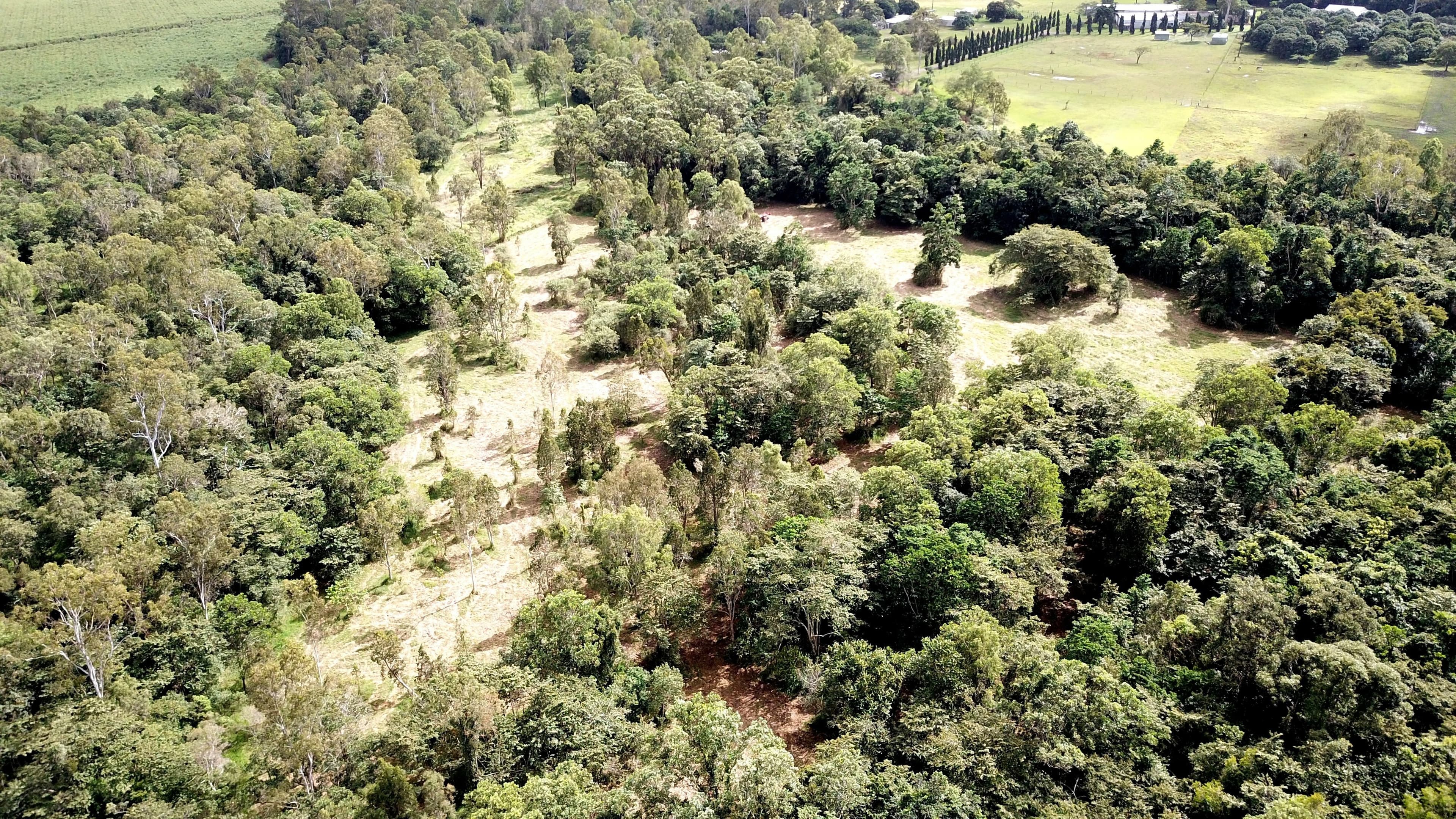 LOT 4 Ellerbeck Rd, Carruchan QLD 4816, Carruchan - Thumbnail 2
