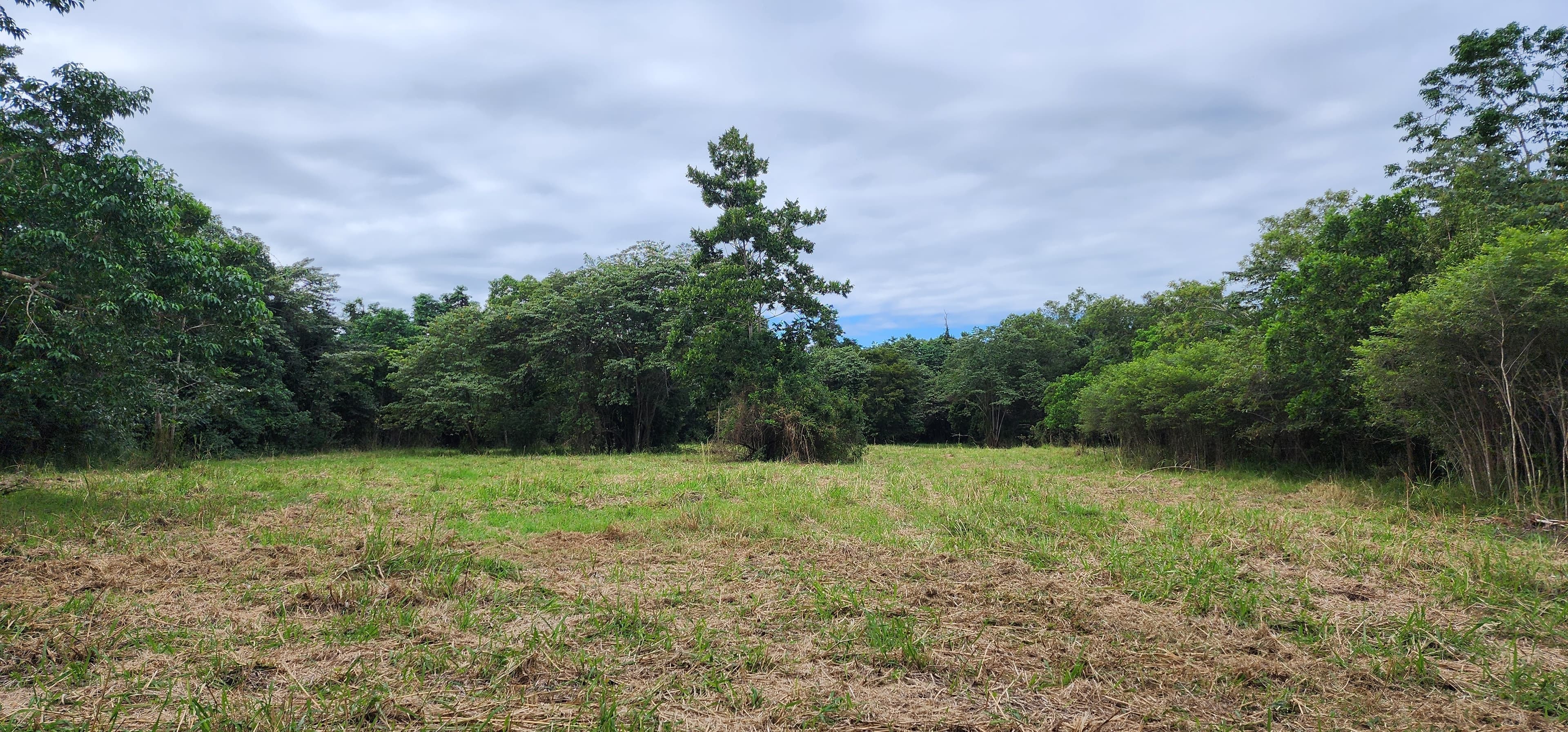 LOT 4 Ellerbeck Rd, Carruchan QLD 4816, Carruchan - Thumbnail 5
