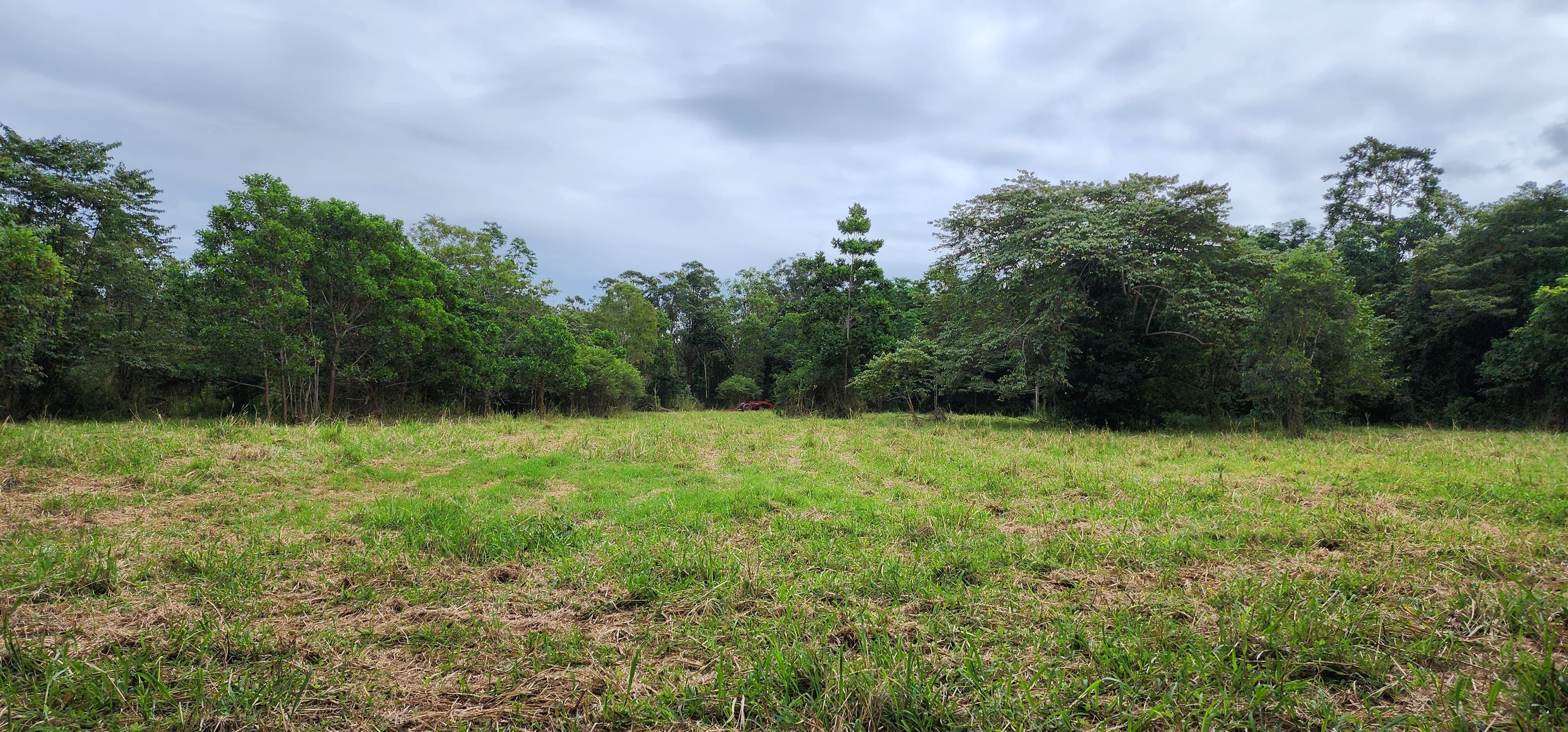 LOT 4 Ellerbeck Rd, Carruchan QLD 4816, Carruchan - Thumbnail 6