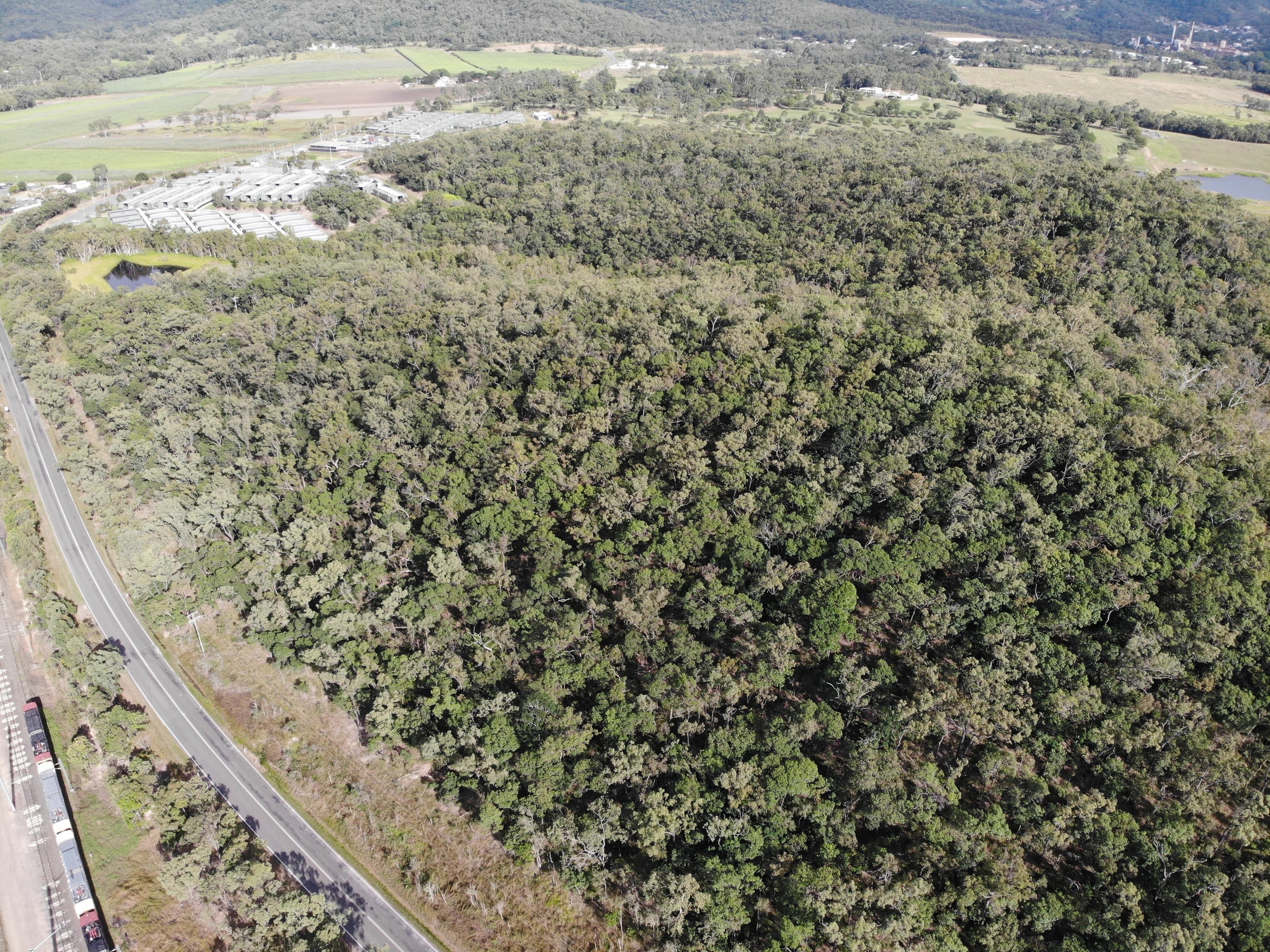 151 Armstrong Beach Rd, Sarina QLD 4737, Sarina - Thumbnail 3