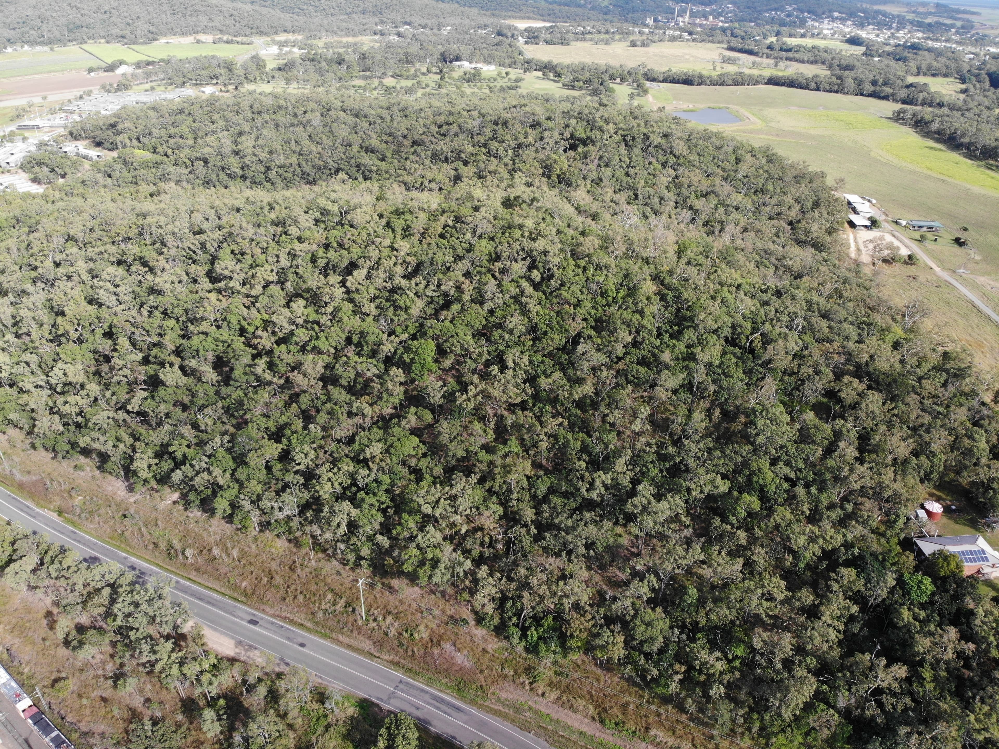 151 Armstrong Beach Rd, Sarina QLD 4737, Sarina - Thumbnail 4