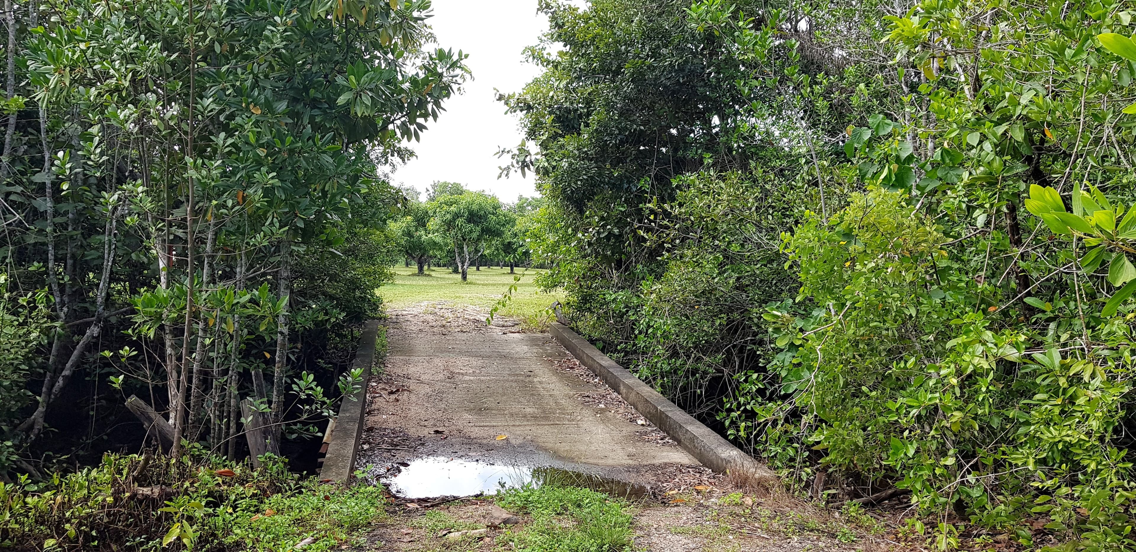 Lot 1 Lawson Drive, Ellerbeck QLD 4816, Ellerbeck - Thumbnail 3