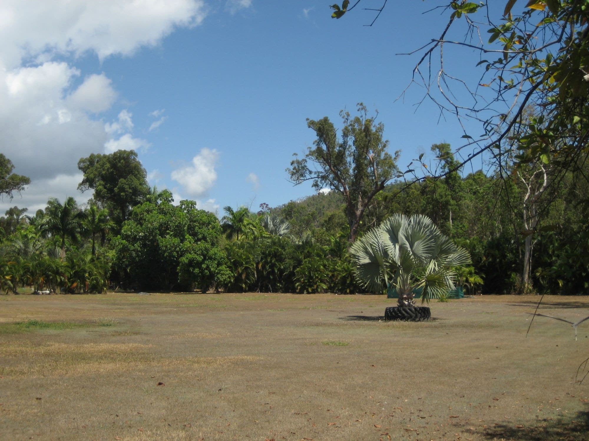 Lot 5 Stony Creek Road, Cardwell QLD 4849, Cardwell - Thumbnail 7
