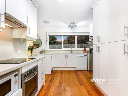 1 Butler Avenue, Mornington, Mornington - Thumbnail 8