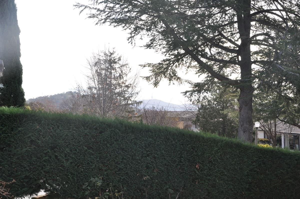 38 Roebuck Street, Red Hill 2603, Red Hill - Thumbnail 2
