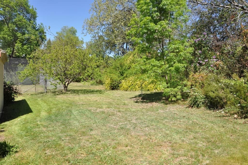 9 Torres Street, Red Hill ACT 2603, Red Hill - Thumbnail 4