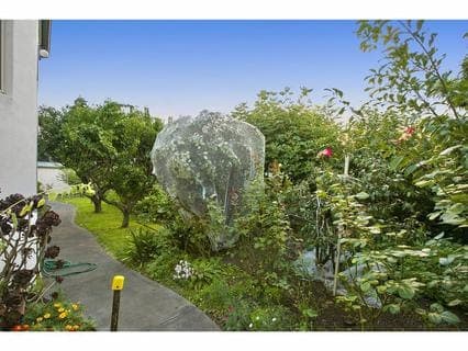 24 Katherine Court, Mornington - Thumbnail 8
