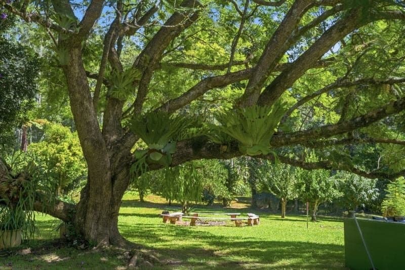 606 Darkwood Road BELLINGEN NSW, Bellingen - Image 1