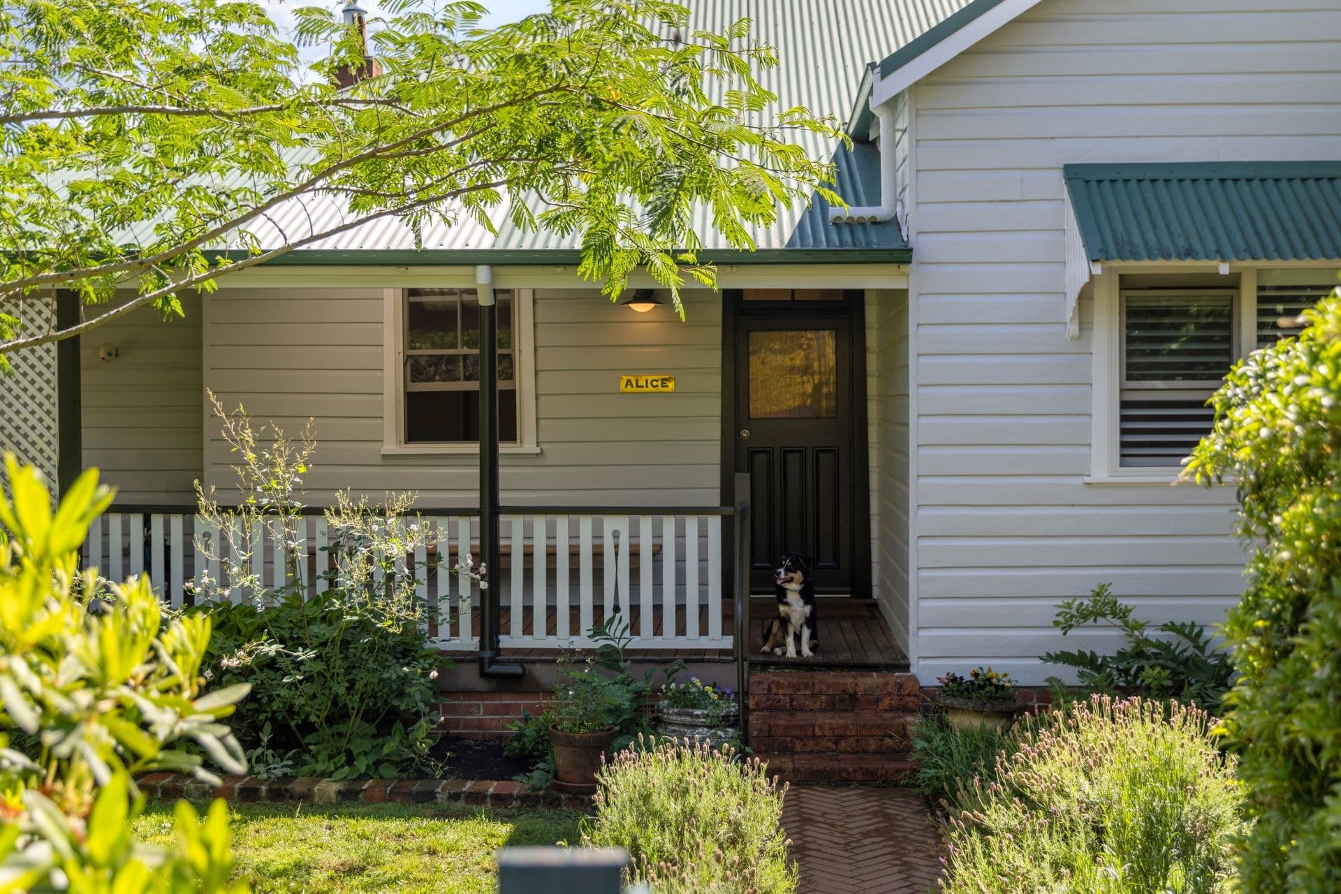 10 Oak St DORRIGO NSW, Dorrigo - Thumbnail 3