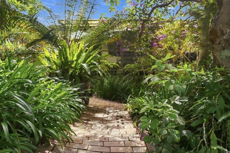 9 Casuarina Ave BELLINGEN NSW, Bellingen - Image 1
