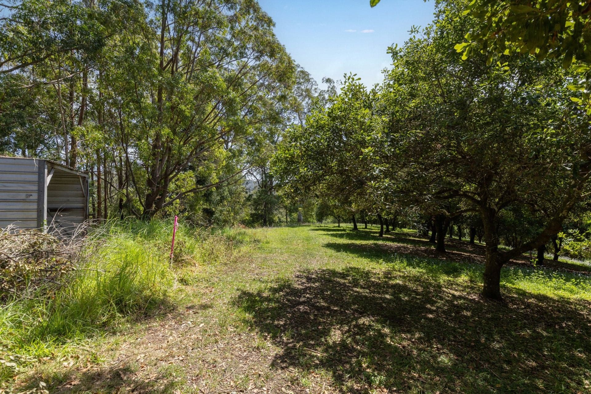 Lot 12 Highfield Road VALLA NSW, Valla - Thumbnail 7