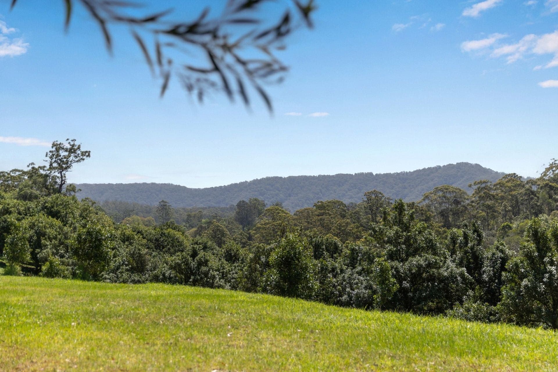 Lot 14 Highfield Road VALLA NSW, Valla - Image 1