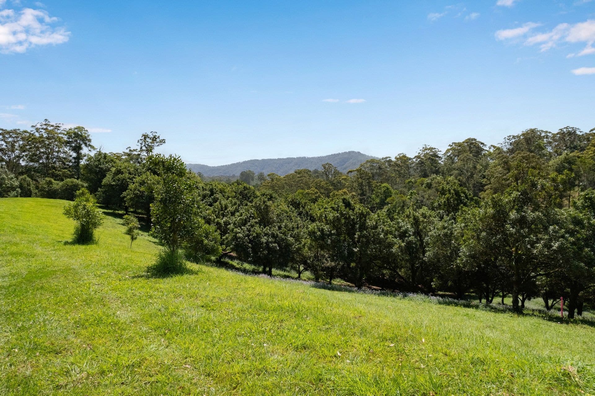 Lot 14 Highfield Road VALLA NSW, Valla - Thumbnail 3
