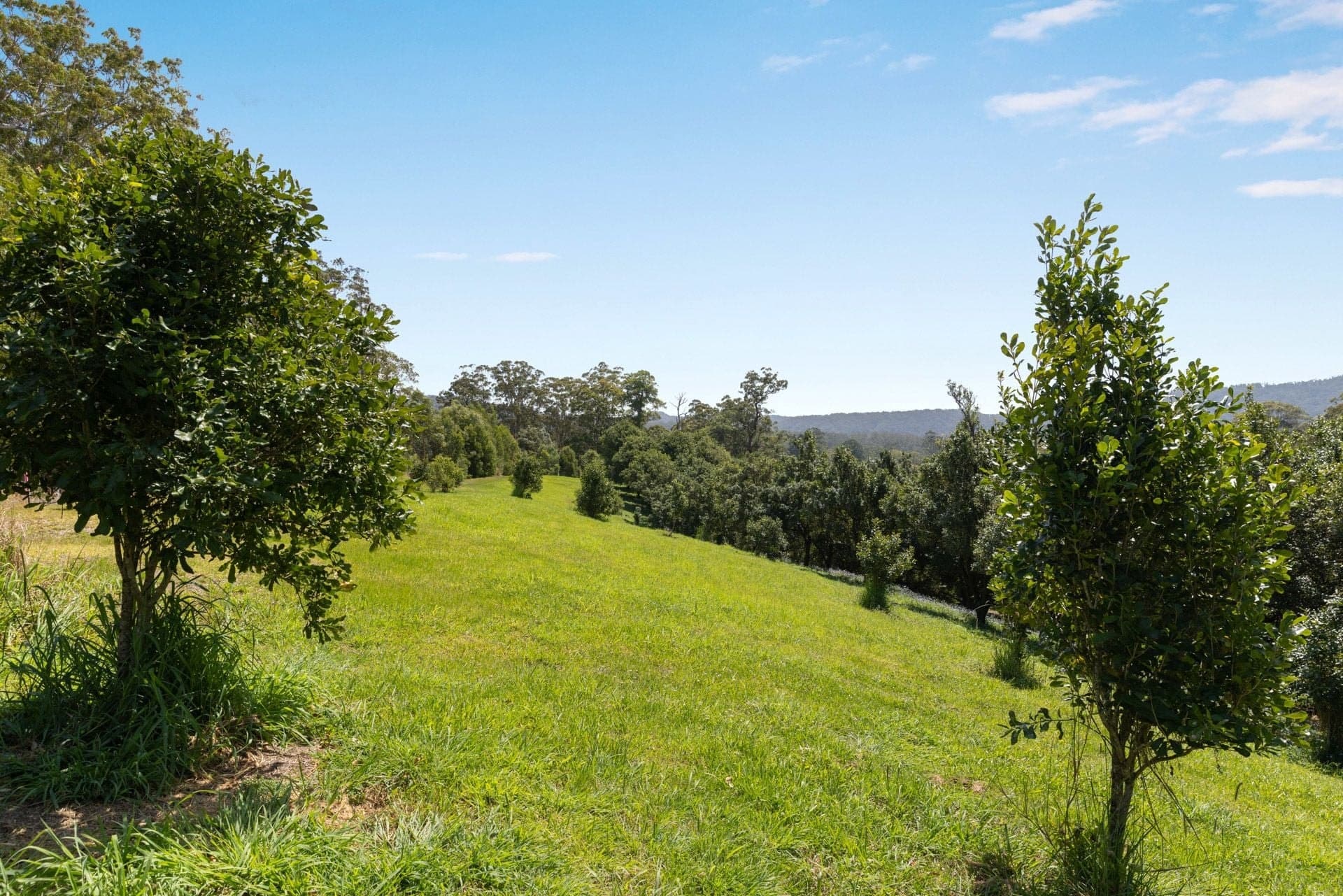 Lot 14 Highfield Road VALLA NSW, Valla - Thumbnail 4