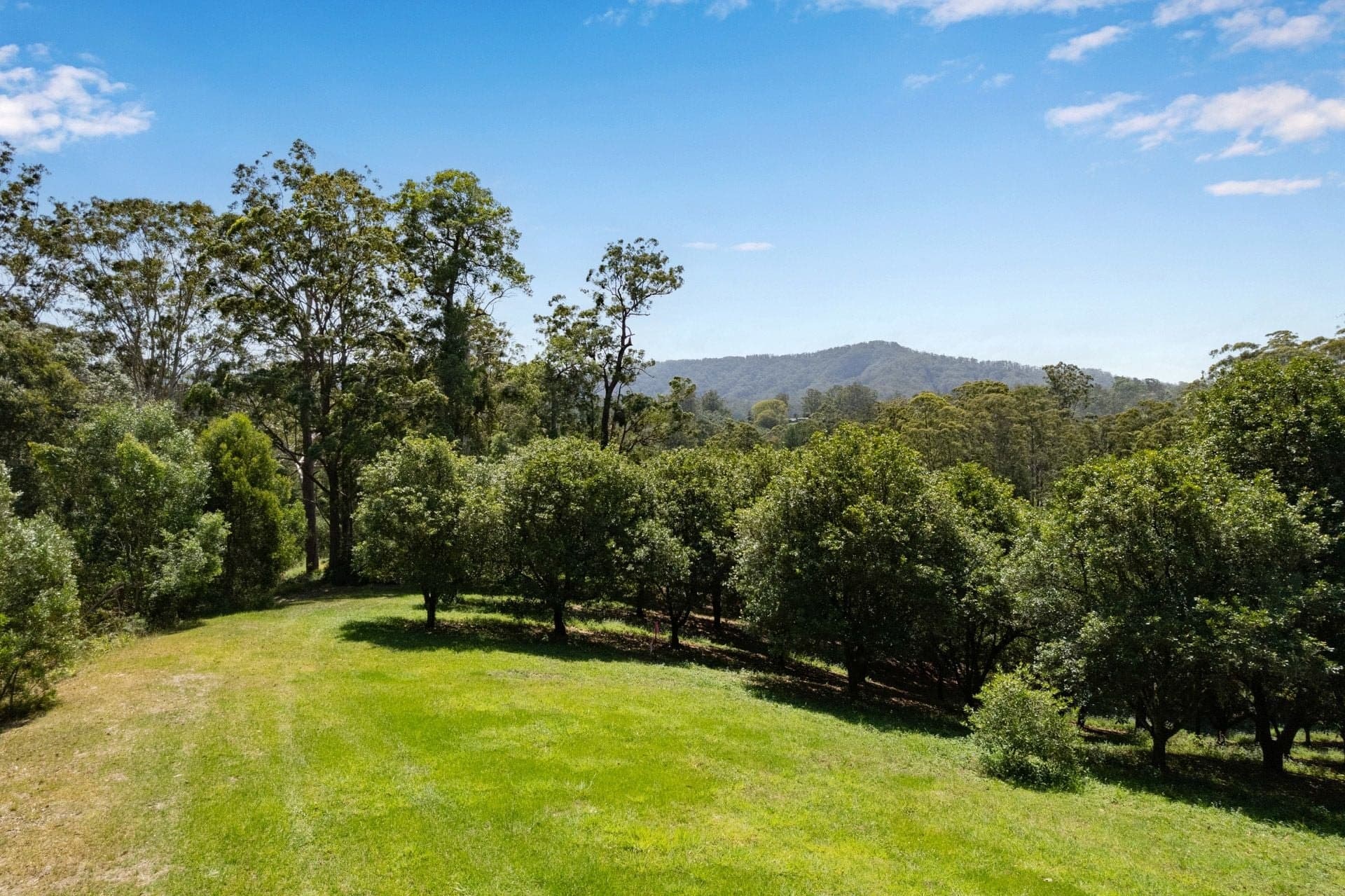 Lot 13 Highfield Road VALLA NSW, Valla - Image 1