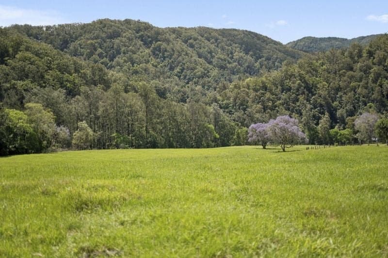 1314 Darkwood Road BELLINGEN NSW, Bellingen - Image 1