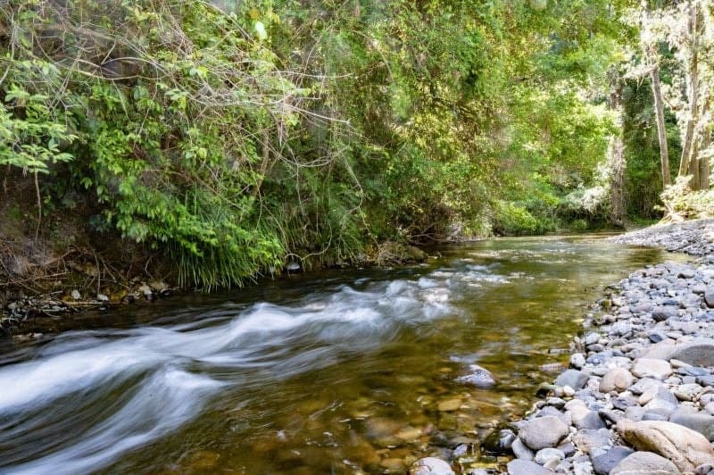 1314 Darkwood Road BELLINGEN NSW, Bellingen - Thumbnail 3