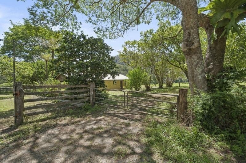 1314 Darkwood Road BELLINGEN NSW, Bellingen - Thumbnail 7
