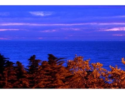 5 Elmie Terrace, MOUNT MARTHA, Mount Martha - Thumbnail 2