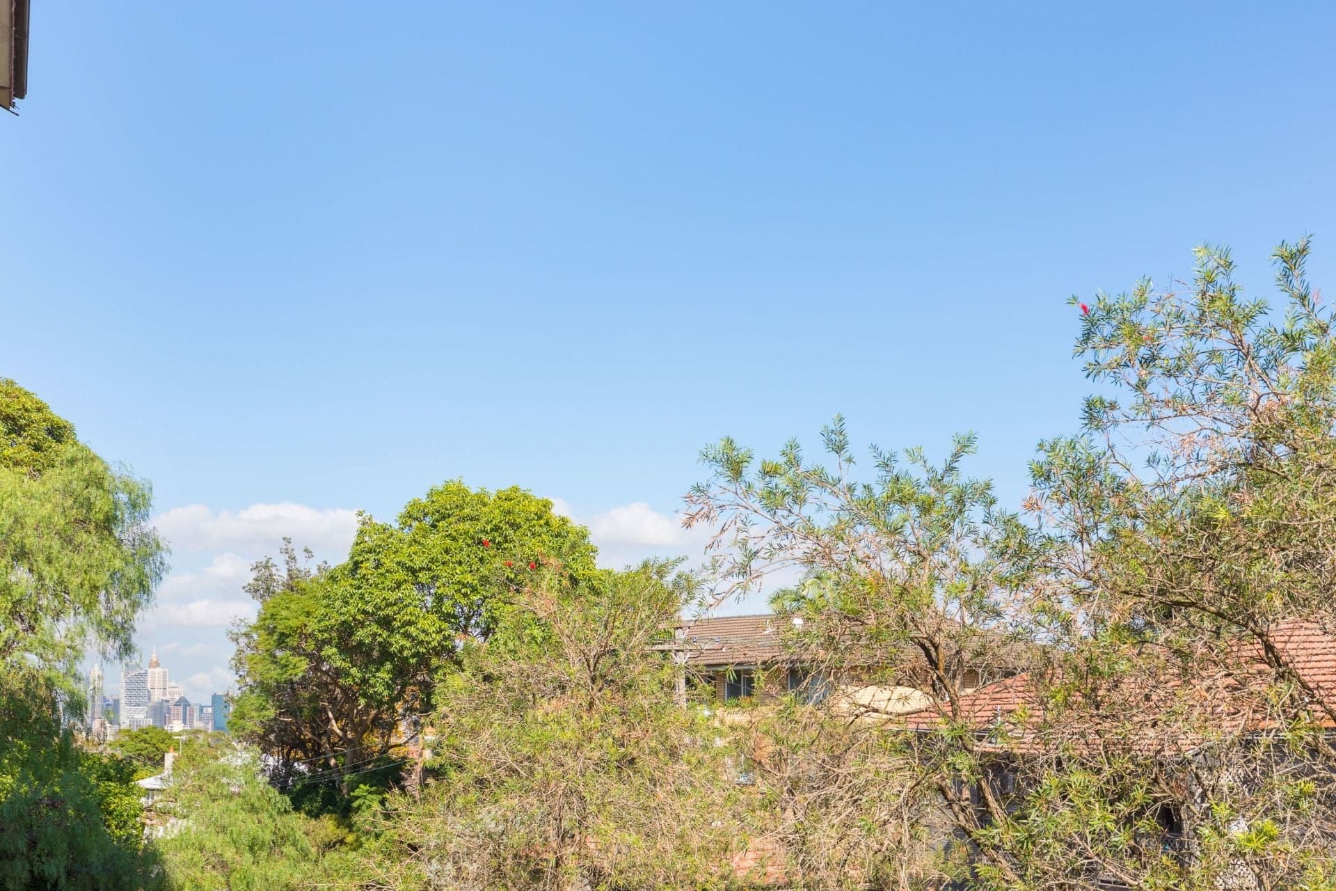 1/7 Lindsay Street, Neutral Bay, Neutral Bay - Thumbnail 6