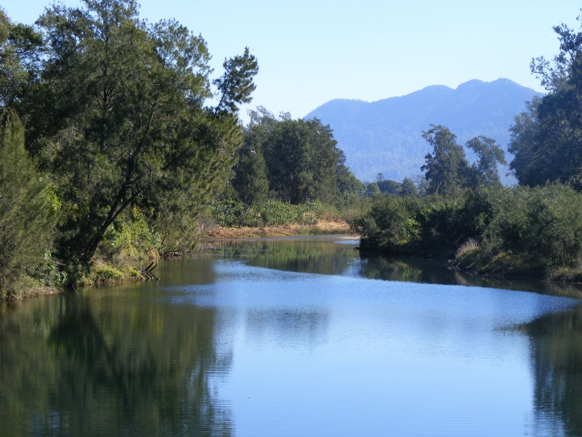 1041 South Arm Rd BELLINGEN NSW, Bellingen - Image 1